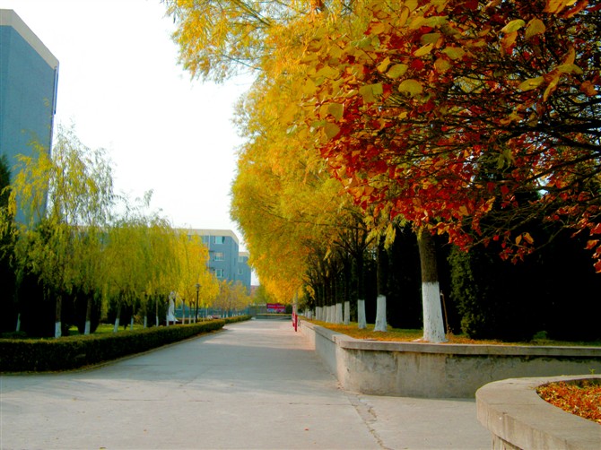 �����F(xi��n)��������W(xu��)