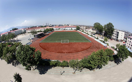 ɽ���P�F·���A�ư���������