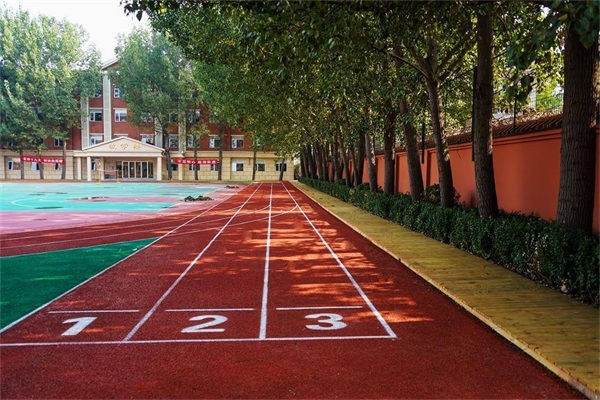 ����������Z���ЌWУ��ô����