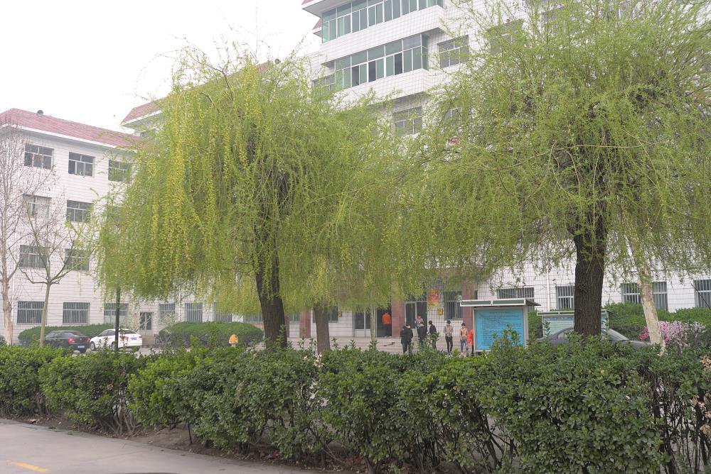 ���������еȌ�(zhu��n)�I(y��)�W(xu��)У�̄�(w��)�(l��i)��(zhu��n)�I(y��)����Щ��