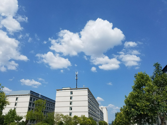 �����F(xi��n)������I(y��)�W(xu��)У����Щ���^�õČ�(zhu��n)�I(y��)��