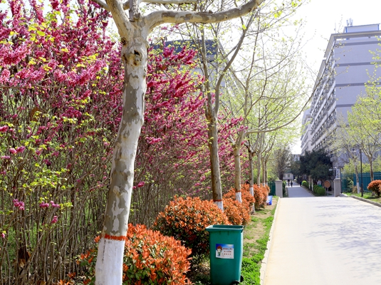 �����F(xi��n)������I(y��)�W(xu��)Уÿ�����˶��᣿