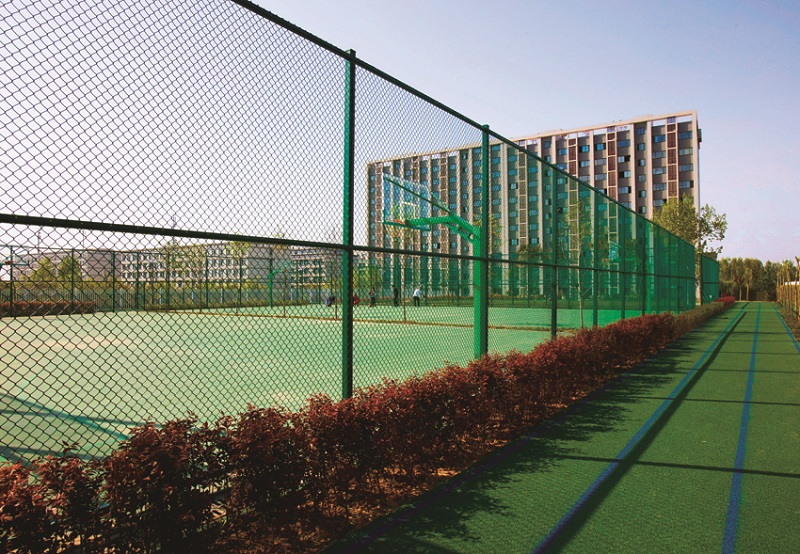 �����F(xi��n)������I(y��)�W(xu��)У��ȫ���ƌW(xu��)У����