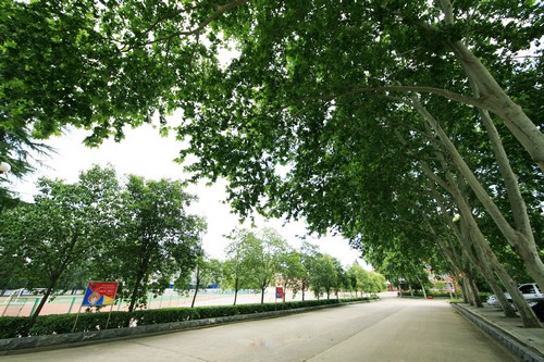 �Ї����һ�ϼ����W(xu��)Ժ�F(xi��n)��߀����������