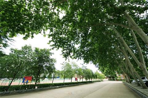 �Ї����һ�ϼ����W(xu��)Ժ�ЙC���I(y��)����