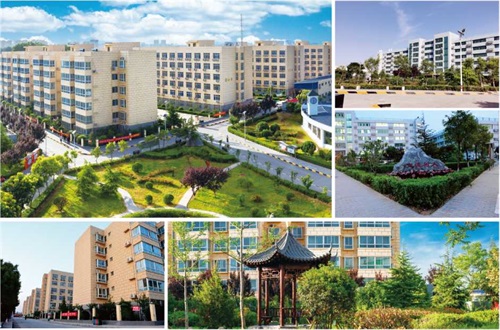 �������¼����WԺ2021����������