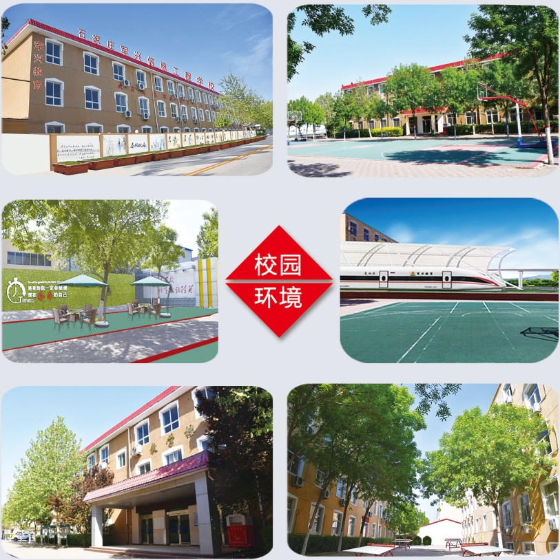 ʯ���f܊�d��Ϣ�����еȌ��I(y��)�W(xu��)У���������W(xu��)������