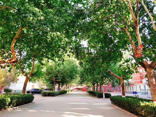 ʯ���fͬ��(chu��ng)�F·�\(y��n)ݔ�W(xu��)У�к΃�(y��u)��(sh��)����Έ�(b��o)���@���W(xu��)У��