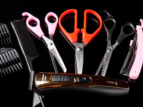 �W(xu��)�����l(f��)���I(y��)�����g���Ɔ���