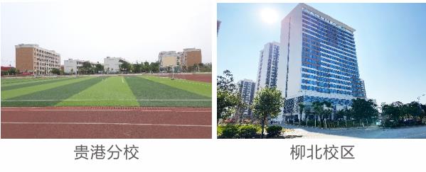 �V���Ƽ����Q�߼������WУ��������