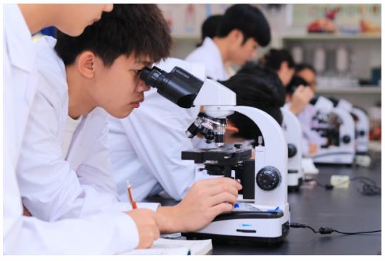 �V���Ƽ����Q�߼������WУ��������