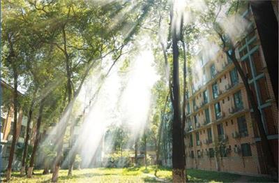 �Ͼ����I(y��)��W�ĺ�����I(y��)��ʲô��(y��u)�݆᣿ 