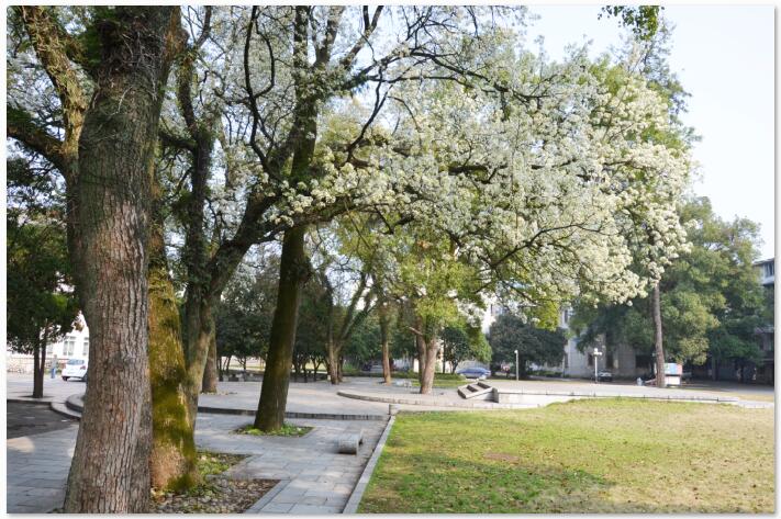 ����������W(xu��)�^�m(x��)�����W(xu��)Ժ��ԇ��������Щ��