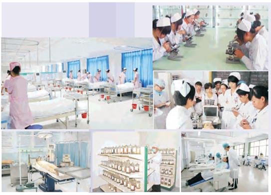 ���ݰ�����t(y��)�W(xu��)Ժ���V����